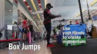 Advanced Light Plyometrics for Vertical Jumps-OGLB
