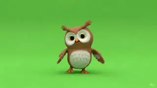 Owl dance green screen