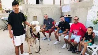 زيارة لمخزن هتلر 🗡️ الكرم ترحب بكم 🇹🇳 متع عينيك ✅