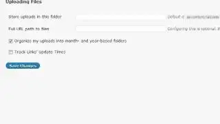 WordPress Settings