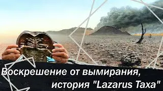 Воскрешение от вымирания, история Lazarus Taxa