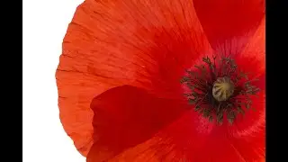 Maurice Ravel, Le Tombeau de Couperin