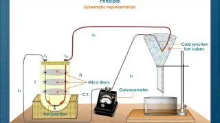 Thermoelectric Thermometer
