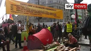 Are Extinction Rebellion's demands realistic?