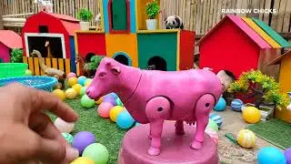 RAINBOW CHICKS & BUNNY FUN WITH COLOR BALLS