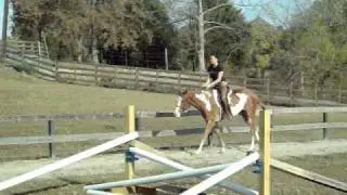 horse jumps for sale