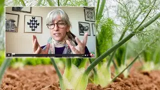 The 6 Ways of Fennel