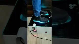 UV Shoe Disinfectant