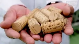 Produção das Rolhas Raríssimo / Production of Raríssimo Corks