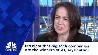 It's clear that big tech companies are the winners of AI, says author