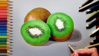 Drawing Realistic Kiwi in Colored Pencil | Jasmina Susak