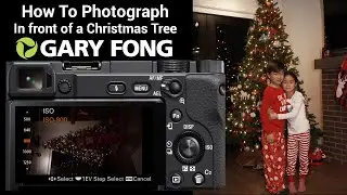How To Take Photographs In Front Of A Christmas Tree