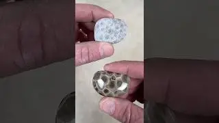 Hand Polishing a Petoskey Stone