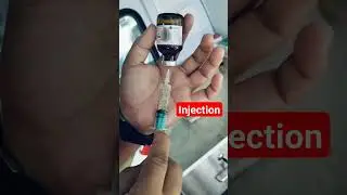 injection|| dog || #injection #dog #viral #animals #subscribe #trending #pets #doglover