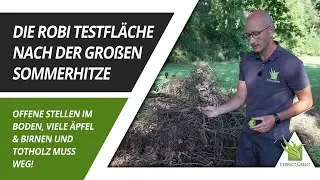Testfl&auml;che nach der Hitze | Was muss nachges&auml;t werden? | Wie bekommen wir Obst und &Auml;ste klein?