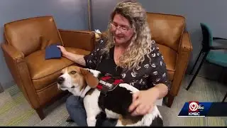 Rose Brooks Center domestic violence shelter gets therapy dog