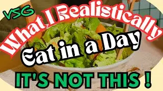 VSG Journey - Post Op Eating Habits: A Real Day on My Plate!