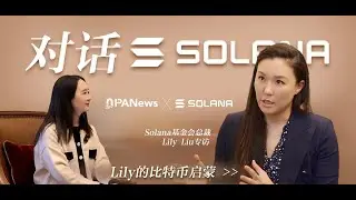 对话 Solana 基金会主席 Lily Liu：重仓华语区，PayFi、DePIN 之后，下一个目标是「Everything Chain」
