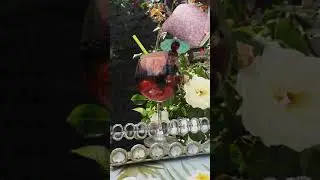 Sipping Pretty