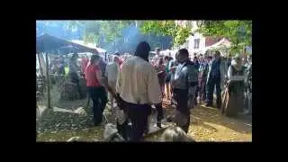 Kasteelfeesten Ekeren