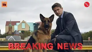 Hallmark's Hudson & Rex! Exciting Season 8 Updates & What&rsquo;s Next for Your Favorite Canine Duo!