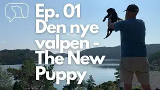 Ep 01 Den nye valpen/The new puppy (w. subs)