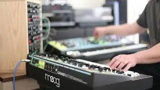 K. by Cigarettes After Sex, synth cover with Moog Matriarch, Grandmother, and 2 DFAMs