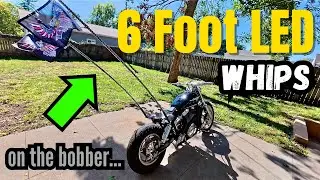The best LED whips you should buy / Holy moly...