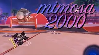 Mimosa 2000 Montage