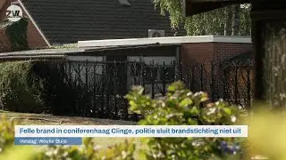 Felle brand in coniferenhaag Clinge, politie sluit brandstichting niet uit - 112 Nieuws | Omroep ZVL