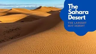 The Sahara is the largest hot desert in the world