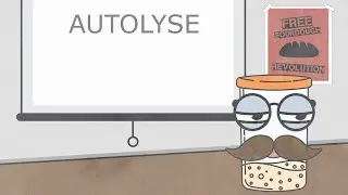 Professor Levain Explains The Autolyse - Bread 101 - The Basics