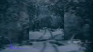 CAROUSEL - Snow