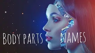 Body parts in Moroccan Arabic| Darija lessons with Assia
