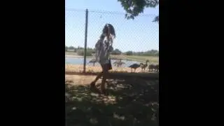 Addy feeds the wild geese