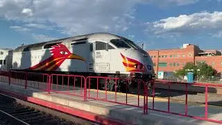 Roadrunner in Albuquerque, NM earlier this year