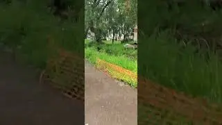 мы работаем в приморье. #хабаровскийкрай #дальнобой #дальнийвосток #природа циклон #хабаровск