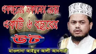 সকালের নাস্তা একজনের একটি ৬ বছরের উট | আইয়ুব আলী আনসারী | Ayub Ali Ansari