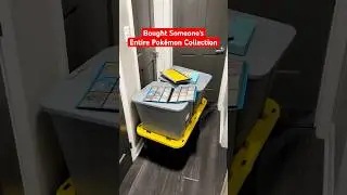 Buying Someone&rsquo;s ENTIRE Pokemon Card Collection! 🤯