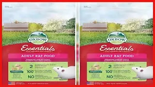 Quality product -  Oxbow Essentials - Adult Rat Food 6 Pound (2 x 3 Pound Bags)