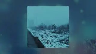 brndoom - don't cry
