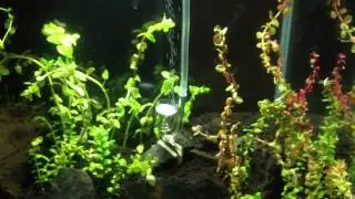 Glass diffuser