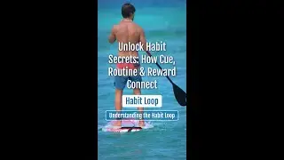 Unlock Habit Secrets: How Cue, Routine & Reward Connect
