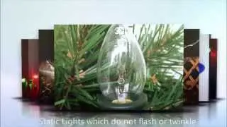 Garden Fairy Lights