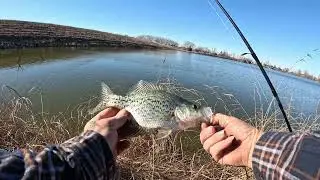 Pre snowmageddon fishing