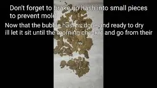 How to make bubble hash (With bubble bags)