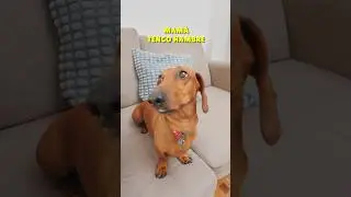El HAMBRE se APODERA de mi! 😭😋