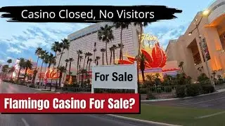 Отель Flamingo Las Vegas выставлен на продажу? Теряет Carlos n Charlie's, получает масштабное рас...