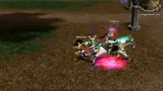 Metin35-PVP