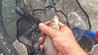 Pesca en Triana , calle Betis , Sevilla @tiendafishingclub